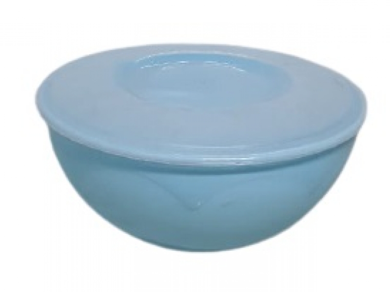 ENSALADERA/BOWL PLASTICA CON TAPA 5LTS